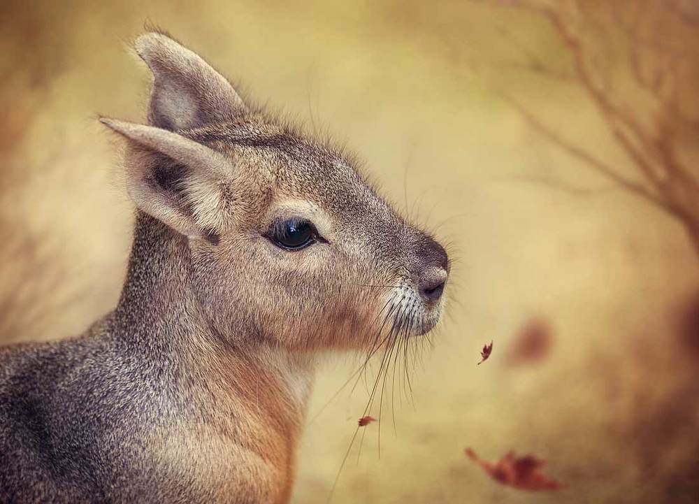 Photograph by Svetlana S.