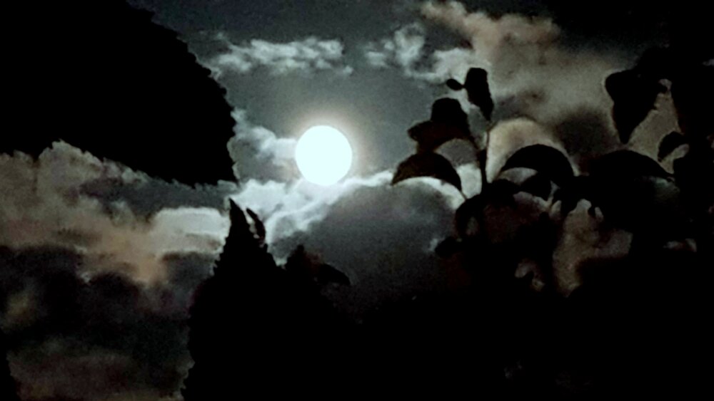 Fullmoon