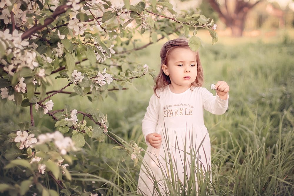 Любит, не любит