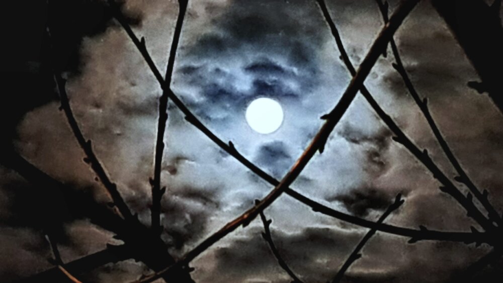 Moonnight