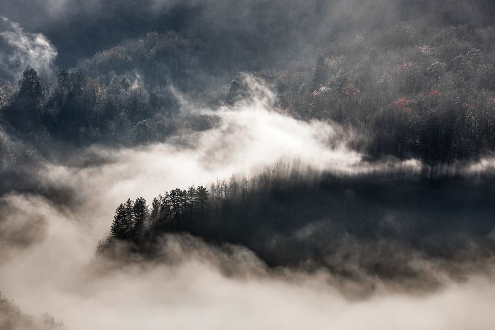 Photograph by Николай Пузанкевич