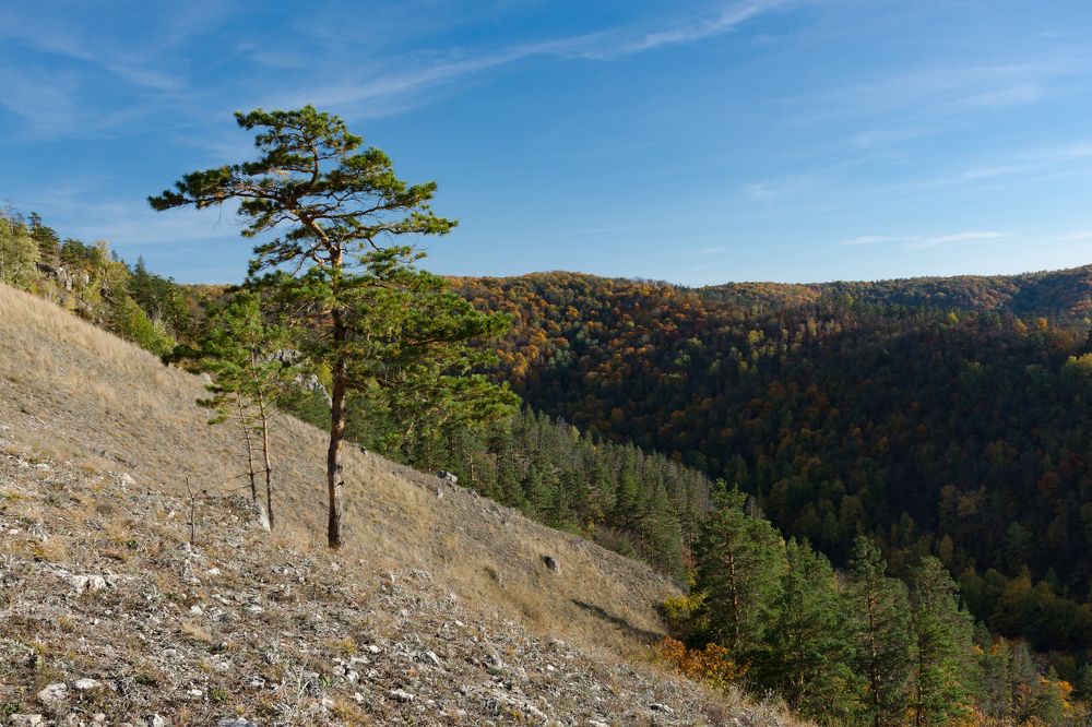 Photograph by Евгений Потапов