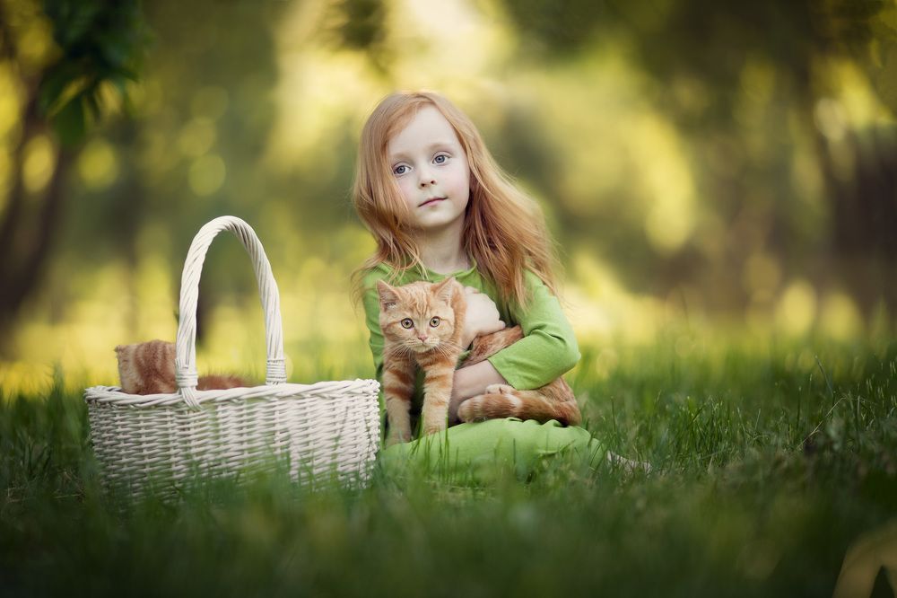 Photograph by Новицкая Татьяна