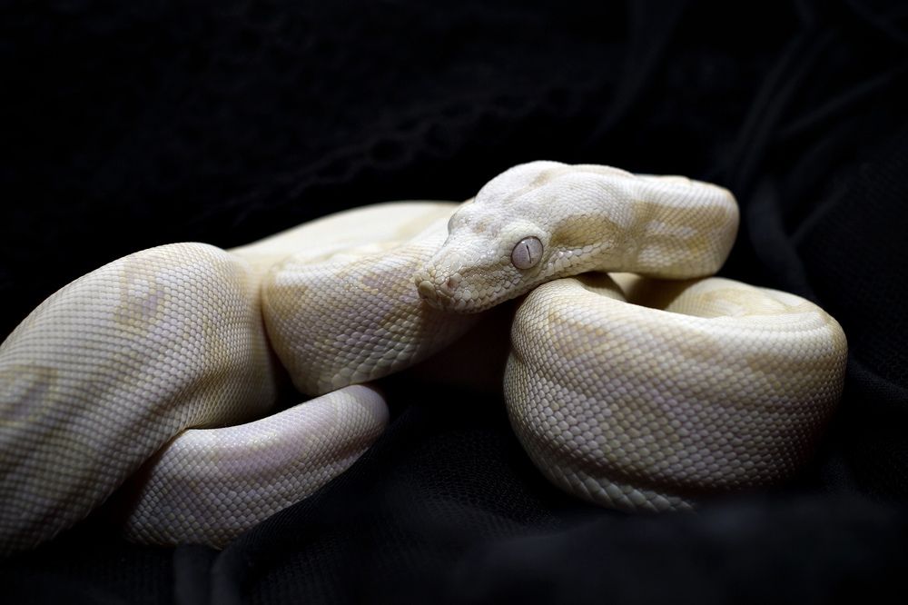 Photograph by Станислава Войцеховская