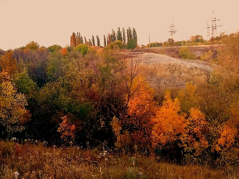 Краски осени