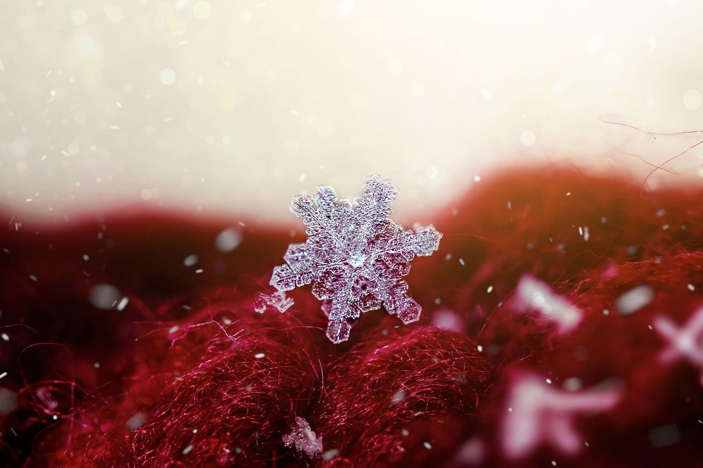 Фотография автора Dolli Pogrebnaya