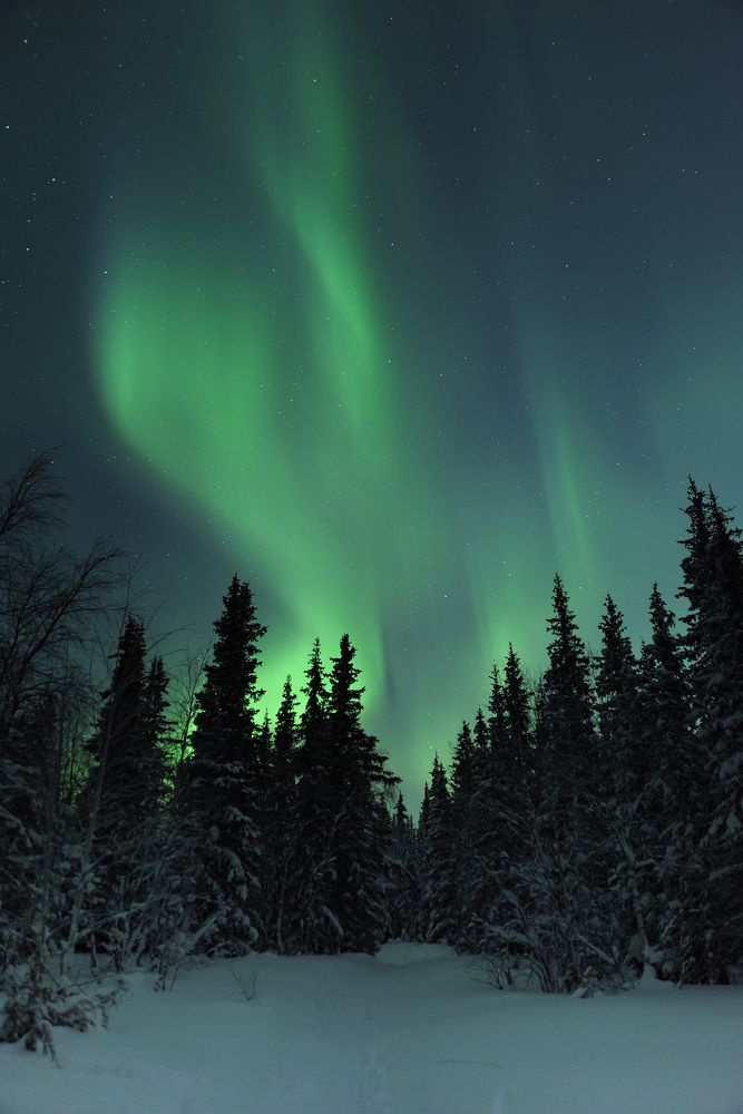 Photograph by Виктор Куликов