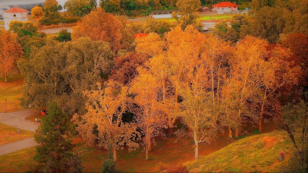 Белград. Осень