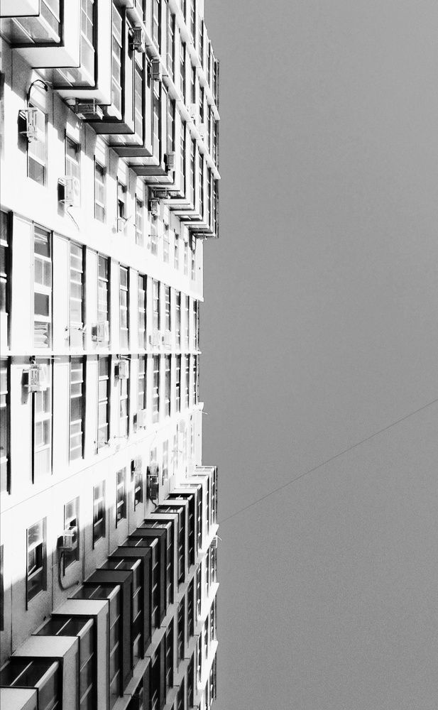 Городские джунгли