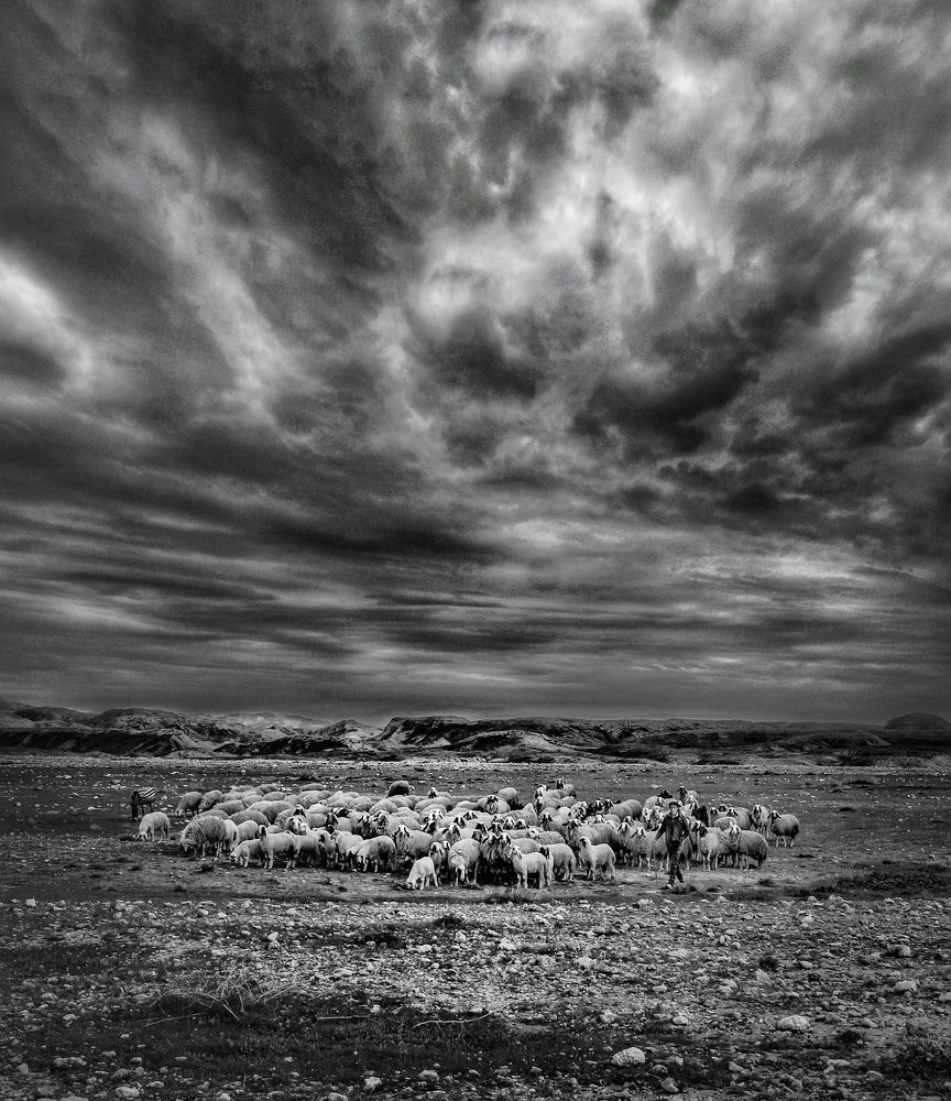 Photograph by Ahmed Saad