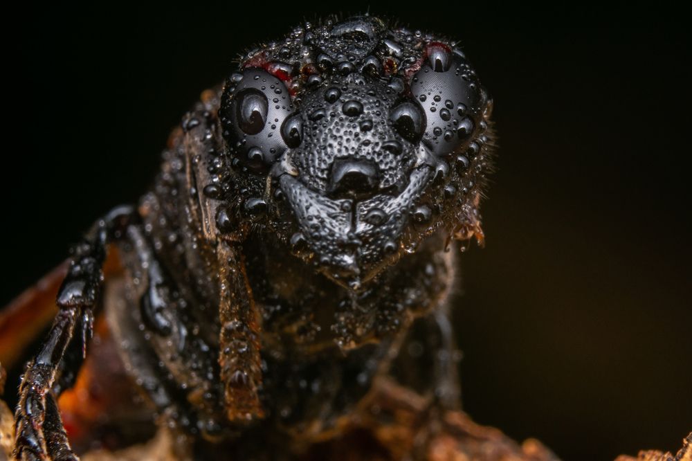 beauty in darkness 2