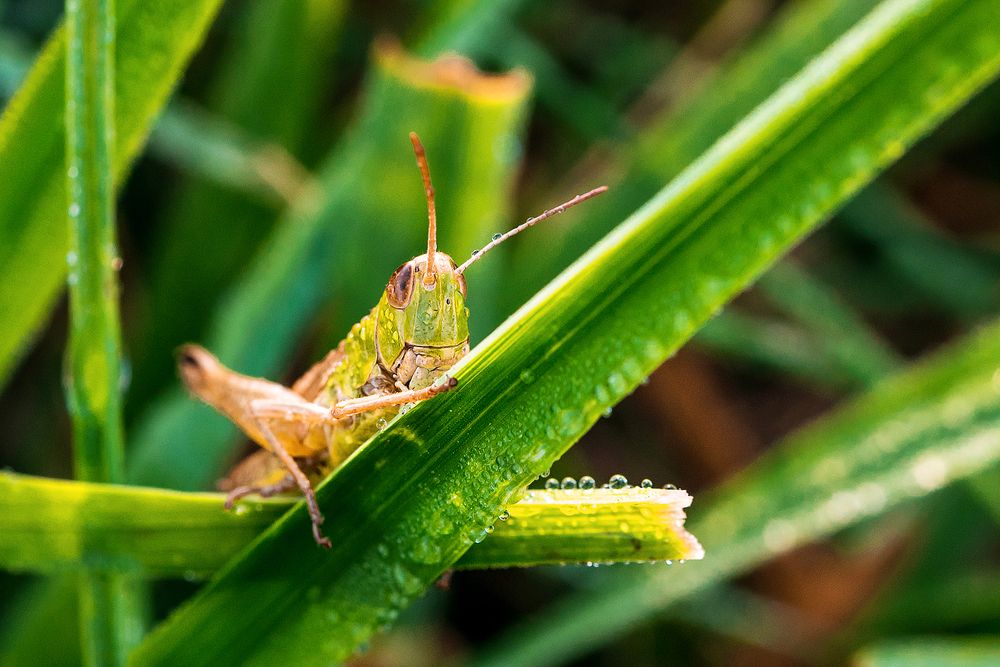 Пробуждение