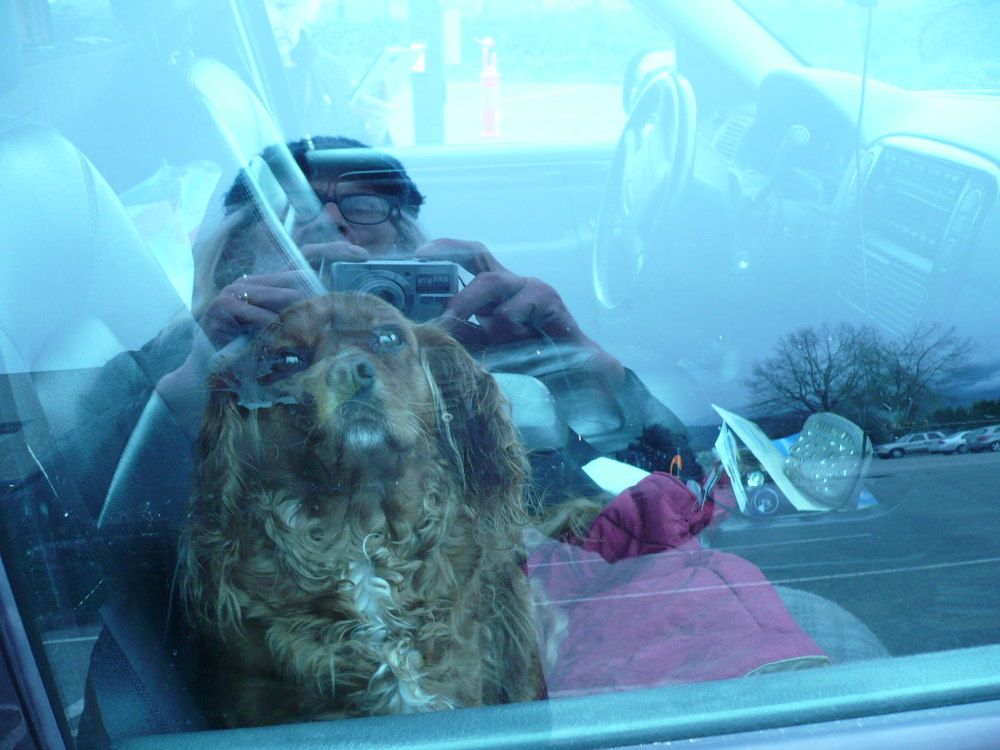 snapping while landscaping