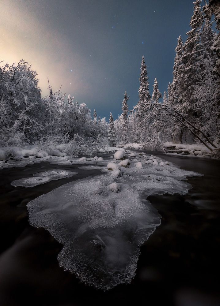 Прогулка под луной