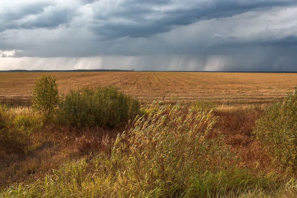 А где то там идут дожди