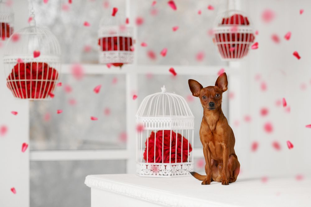 Праздничная