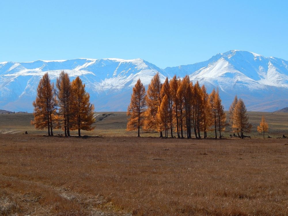 Photograph by Анастасия