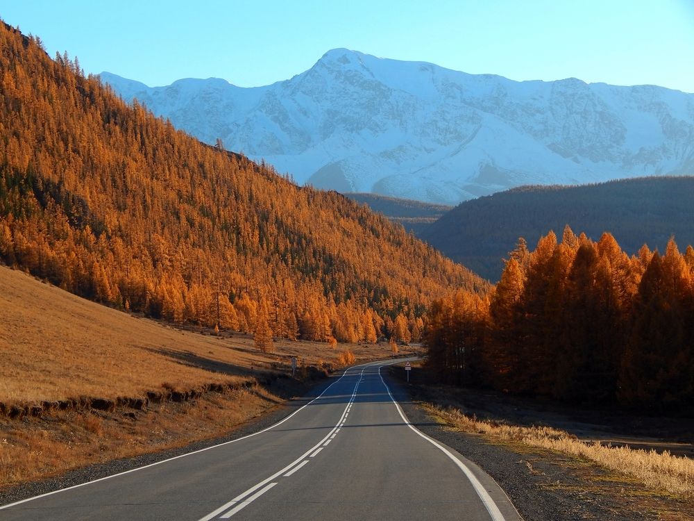 Photograph by Анастасия