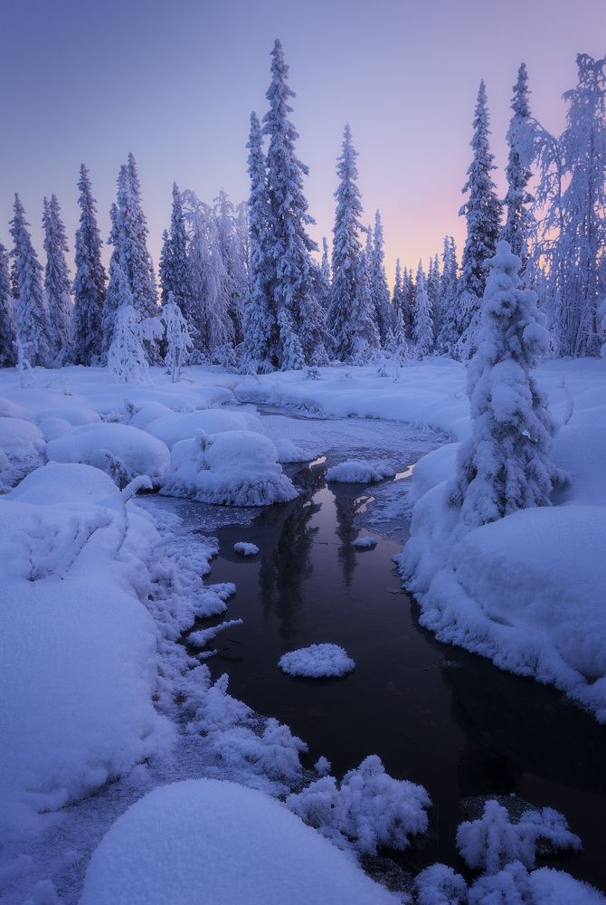 Лесной ручей