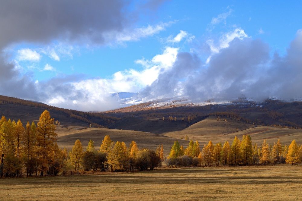 Photograph by Анастасия