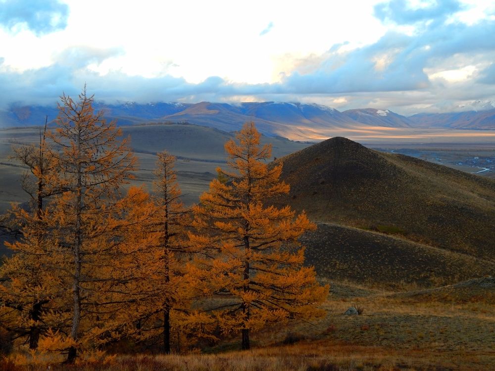 Photograph by Анастасия