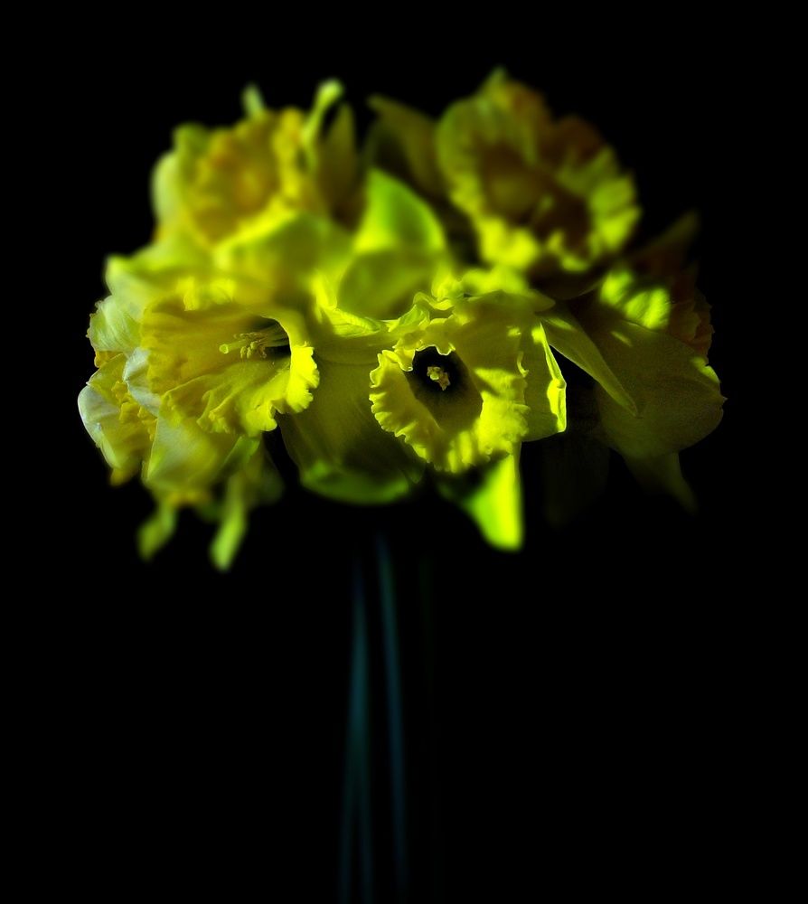 Photograph by Воропаева Юлия