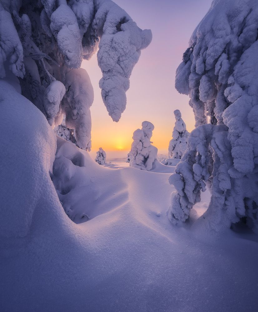 В гостях у сказки