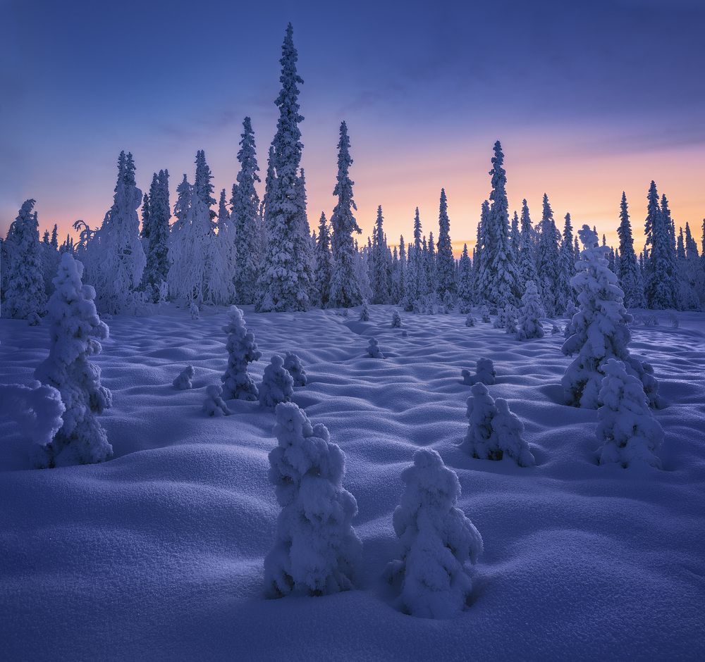 От мала до велика