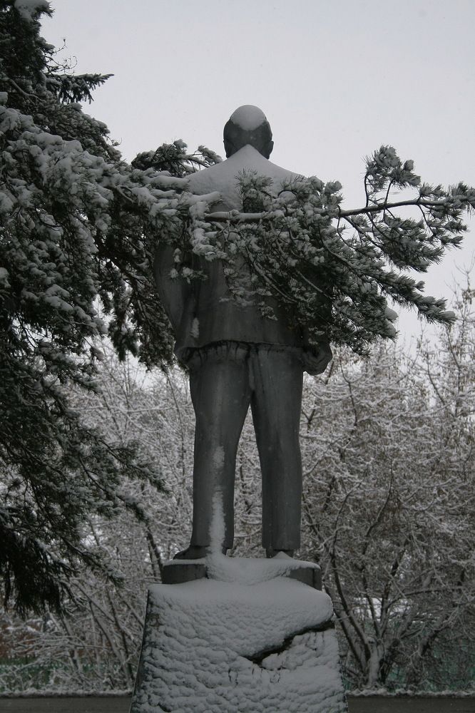 Photograph by Владимир Сафронов