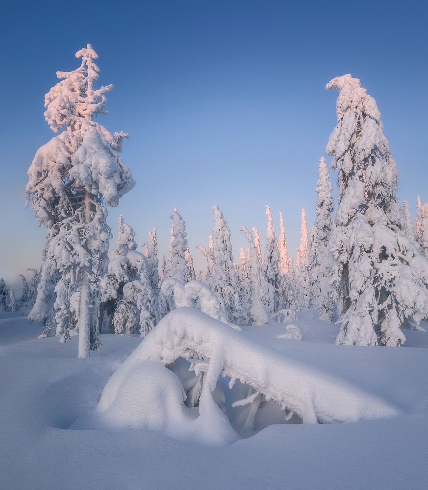 Зимнее утро