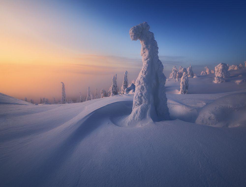 Страж заполярья