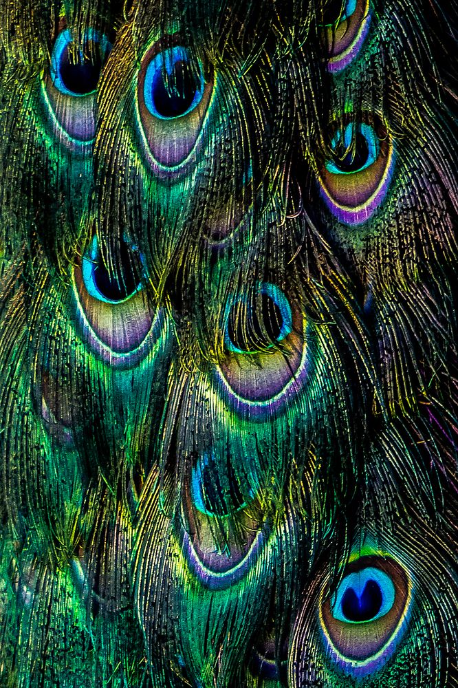 Paintings of Mother Nature