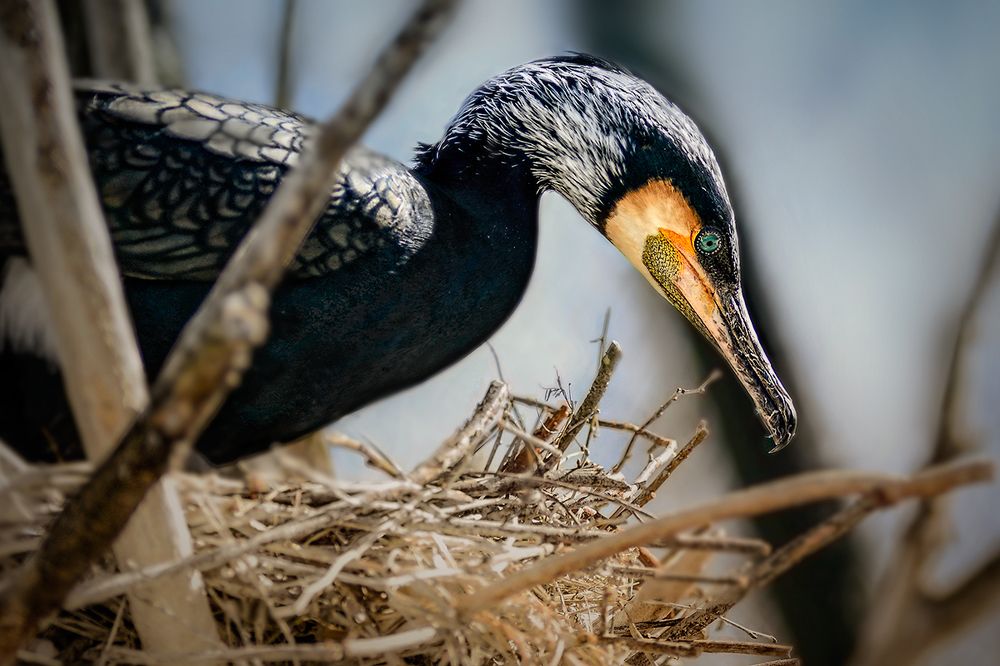 Глядя со своей высоты...