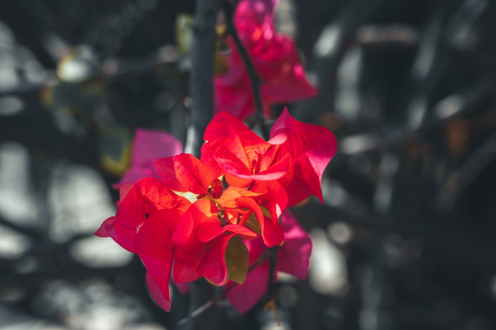 Фотография автора Эдуард Тихонов