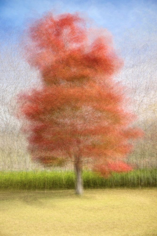 Colours of Kawaguchiko