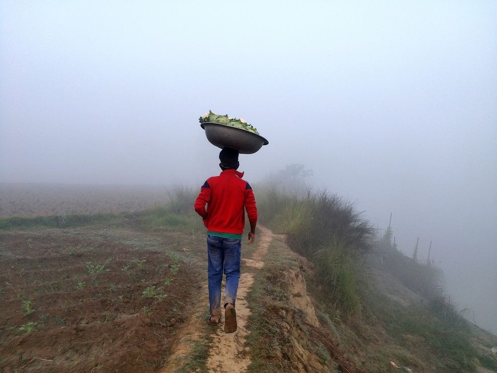 Walking for livelihood