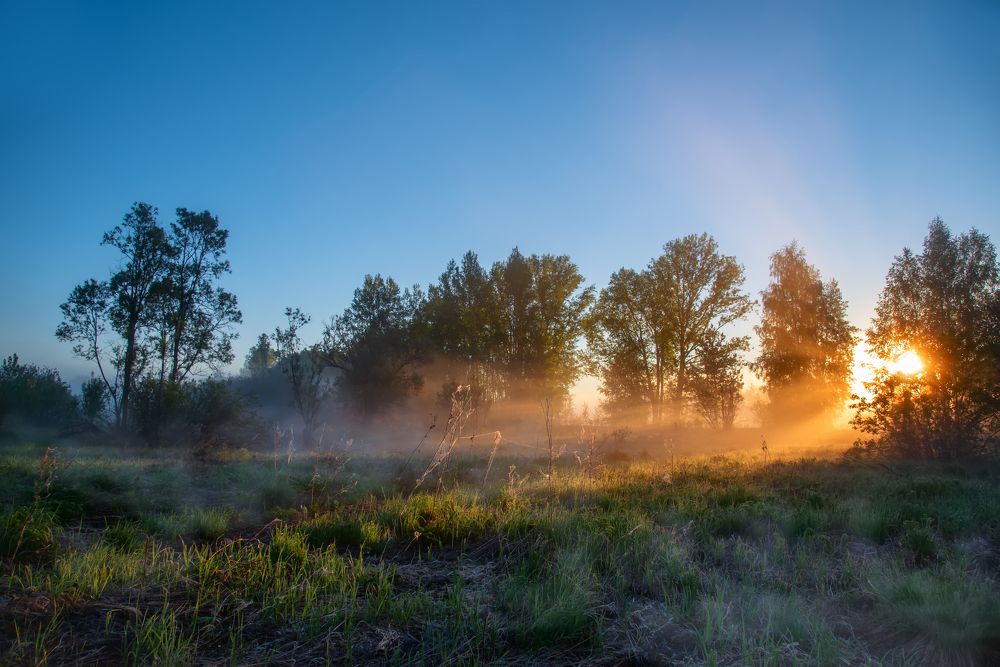 Утор в лесу