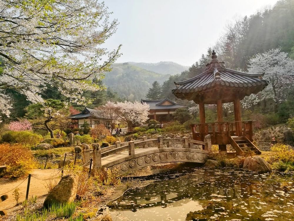 Calm garden in the morning spring