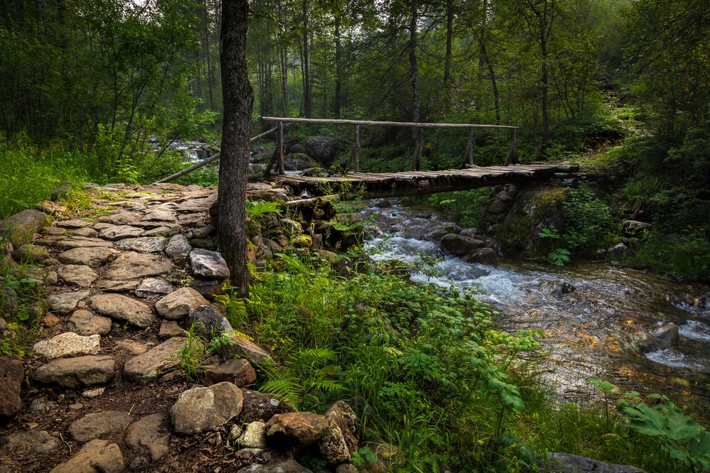тропами Хамар-Дабана