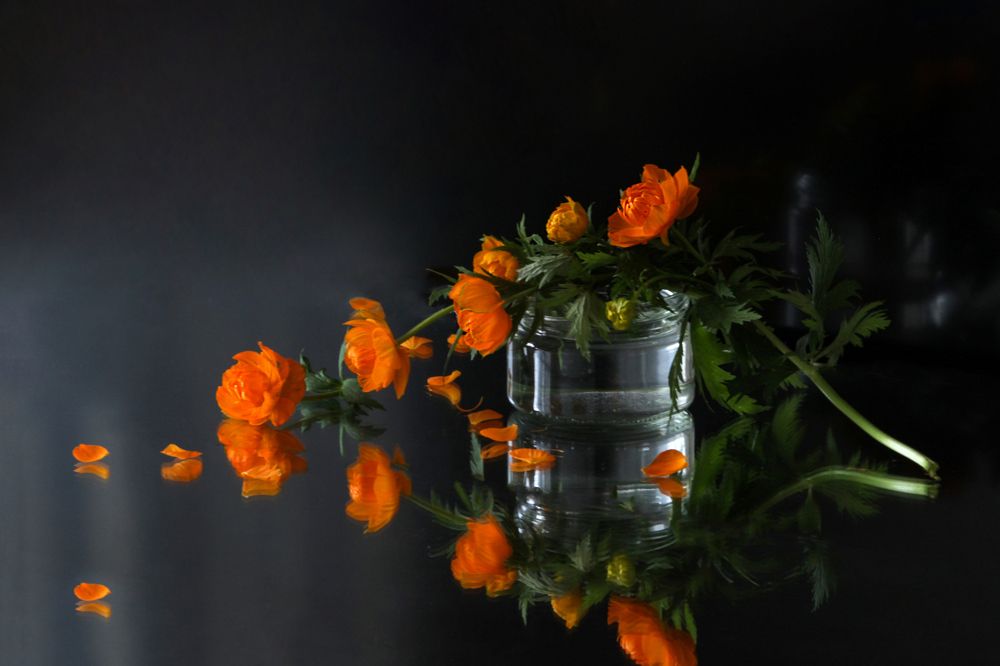 Отражение...