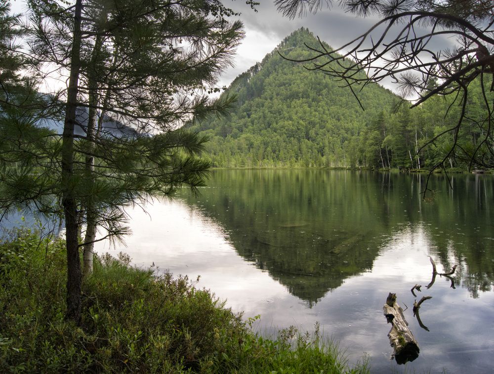 Фотография автора Степан Давыдов