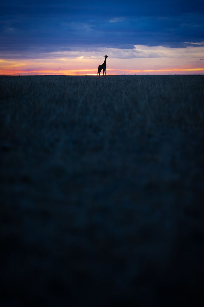 All about perspective