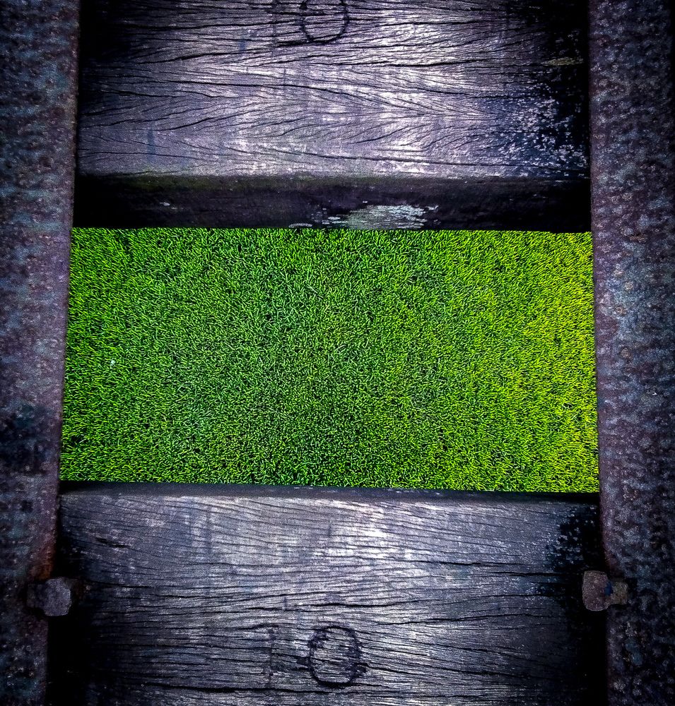 Green world