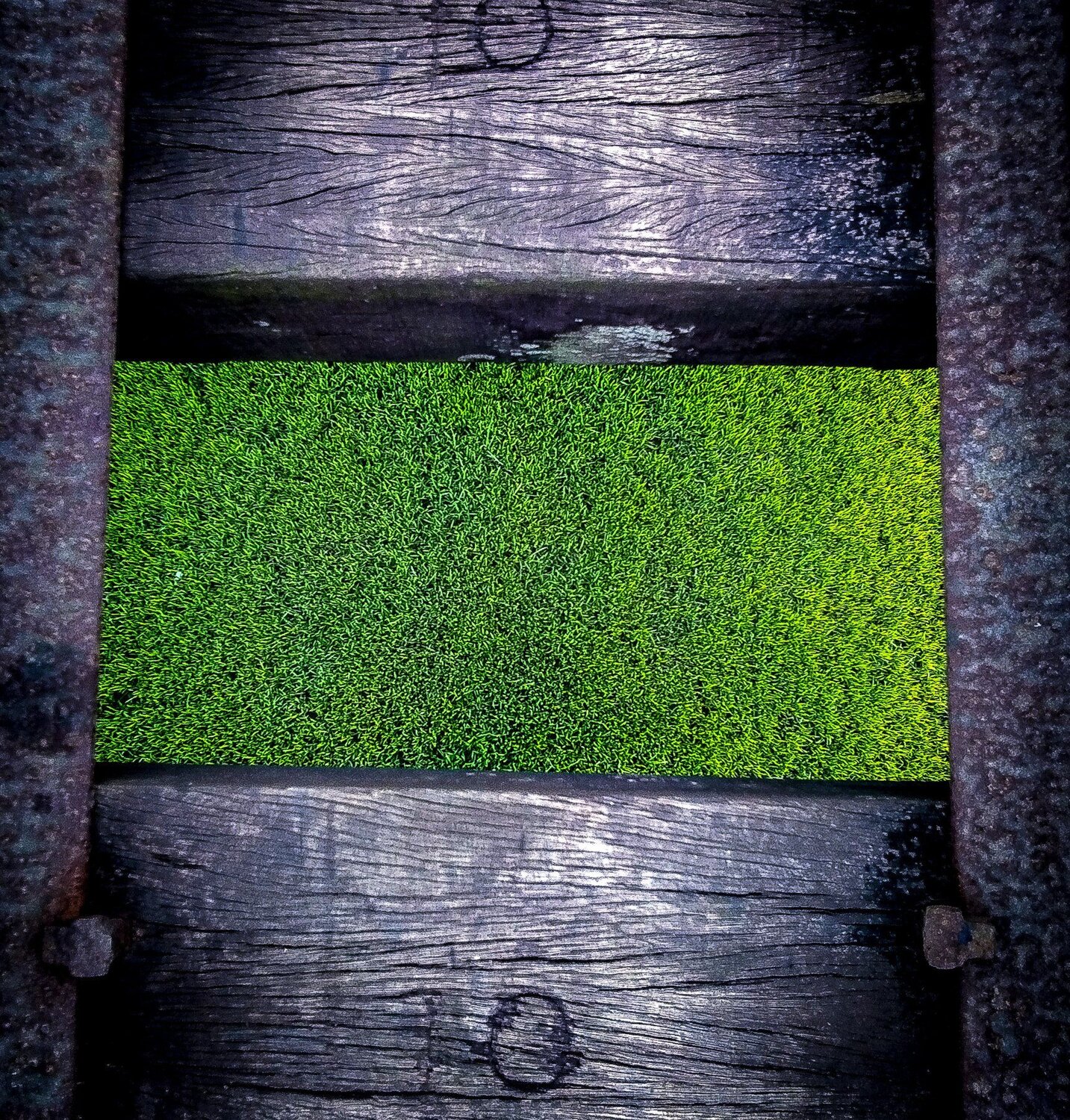 Green world