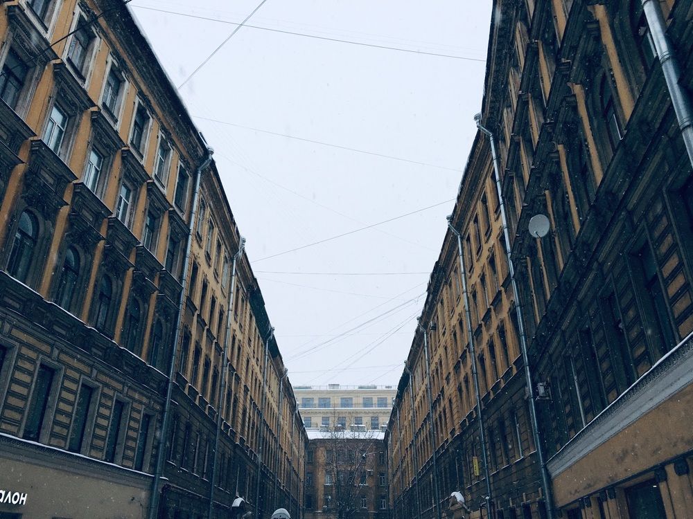 Геометрия Питера