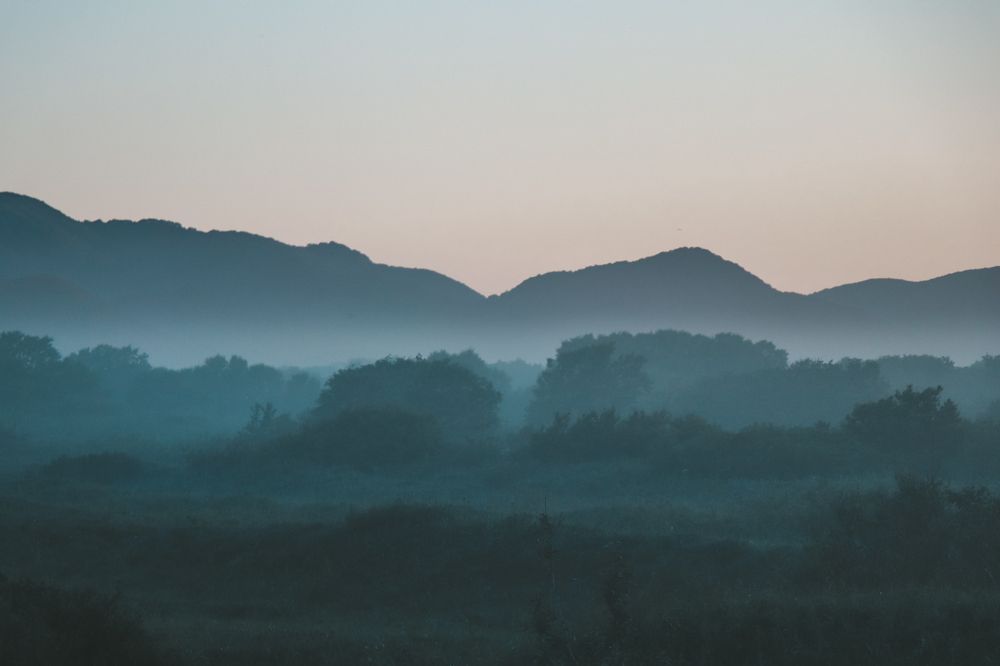 туманы Камчатки