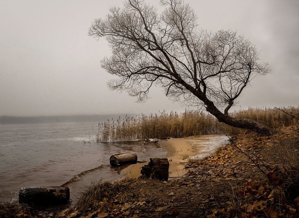 речной туман