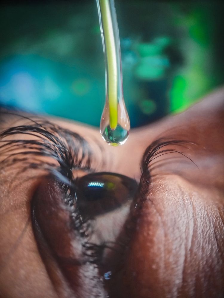 Touching the great camera in the world