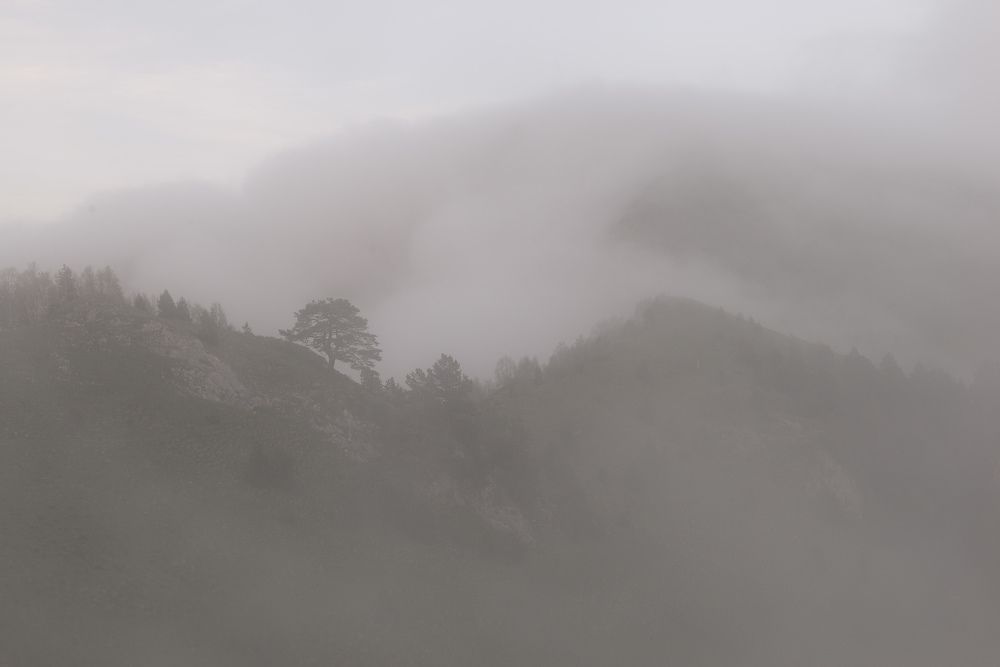 Альпийская пастораль