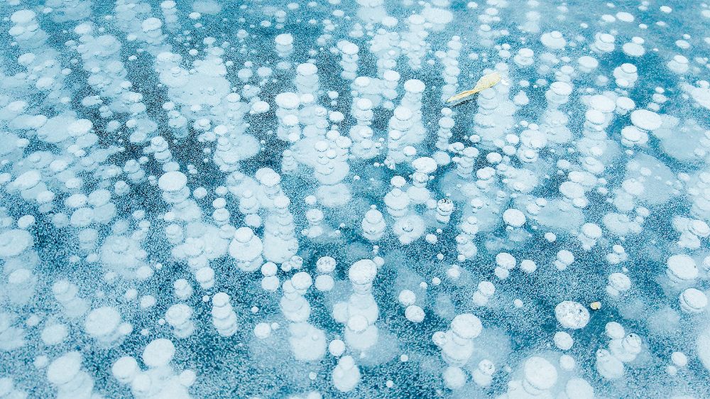 Декабрьский лёд